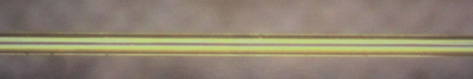 wps9D42.tmp.png